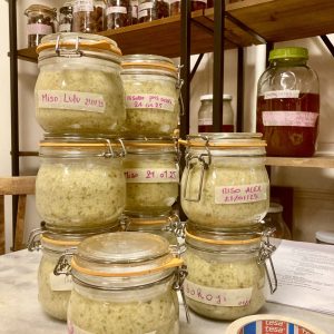 ATELIER MISO & DÉJEUNER ! SAMEDI 10 JANVIER 2026. 9h30 - 12h30